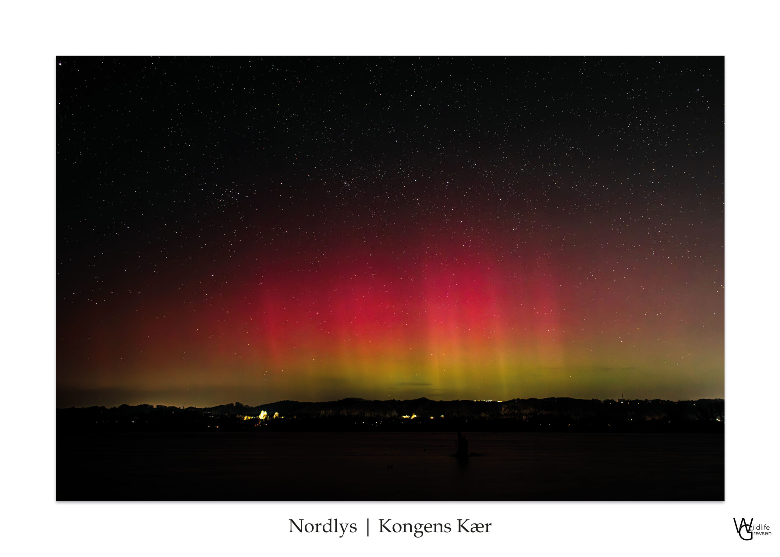 Stars & Aurora
